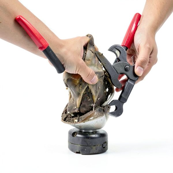 1112TEMP Farrier Tool Kit Professional Horse Hoof Trimming-6
