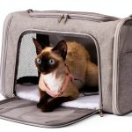 Amazon Pet Carrier Tote Airline Approved Soft Sided Design-0